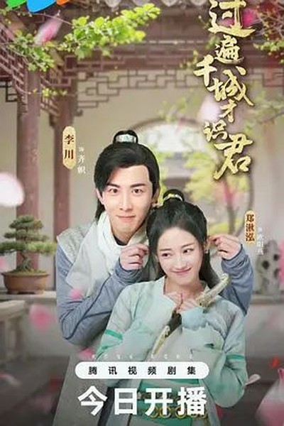 古典舞《折柳》片段，美到窒息 - 森林影院